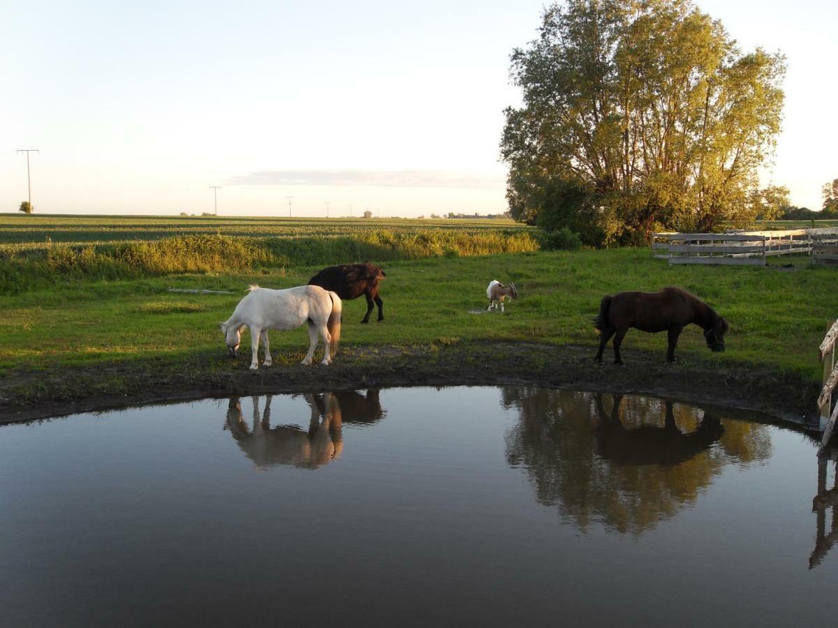 Neuendorf  Horse Lake Ranchヴィラ エクステリア 写真